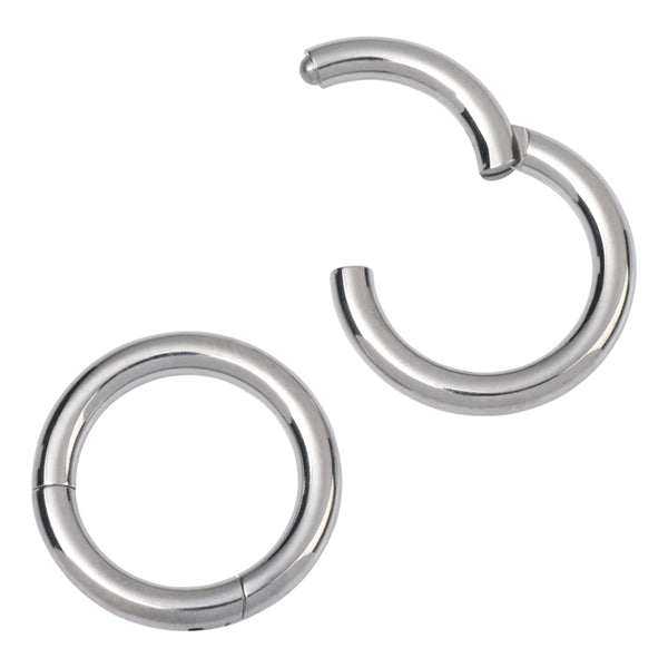 Segment Rig 10g Titanium Hinged Segment Ring | Tulsa Body Jewelry