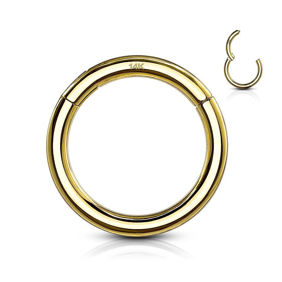 14g Yellow 14k Gold Hinged Segment Ring - Tulsa Body Jewelry