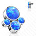 16g Titanium Opal Paw - Tulsa Body Jewelry