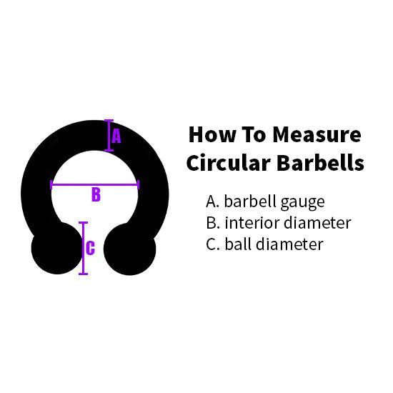 14g Stainless Circular Barbell (internal)