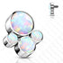 16g Titanium Opal Paw - Tulsa Body Jewelry