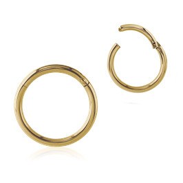 Zircon Gold Hinged Segment Ring