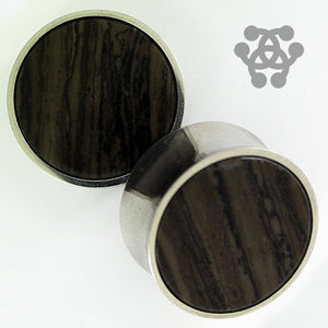 Fossil Wood & Stainless Steel Plugs