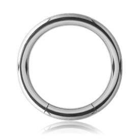 10g Stainless Segment Ring - Tulsa Body Jewelry