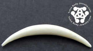 Bone Septum Tusk by Oracle Body Jewelry